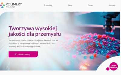 Nie masz czasu na stronę? Maciej też nie miał, a dziś ma stronę, z której jest dumny!