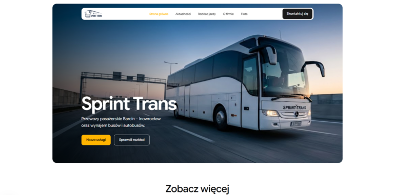 realizacja strony internetowe inowroclaw (16)