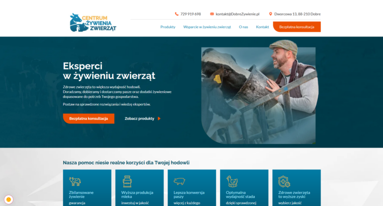 realizacja strony internetowe inowroclaw (5)
